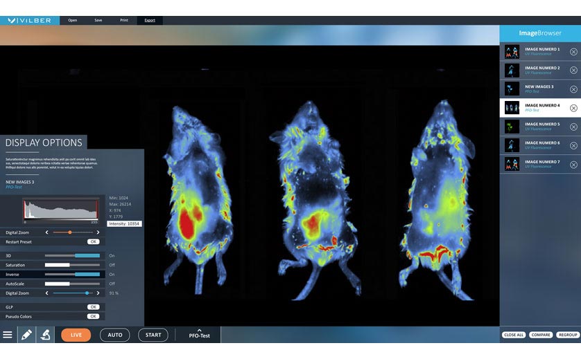 software-invivo-1 software invivo 1