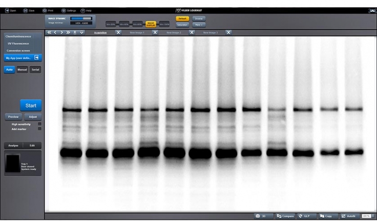 FUSION FX - Western Blot & Chemi imaging | VILBER